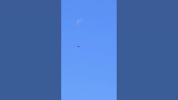 #سورة_هود #قران_كريم #قران #القرآن #المنشاوي #quran #calm #nature #sky #moon #birds #blue