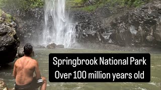 Springbrook National Park, Australia | 2 days trip with guide | Over 100 millions years old
