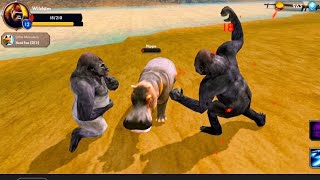 This Angry Gorilla 🦍 İs Absolutely Dangerous / The  Gorilla Animal Simulator  screenshot 2