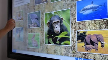 Prowise Presenter UK