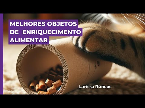 Vídeo: Apenas o que o doutor requisitou: Os benefícios de saúde dos gatos