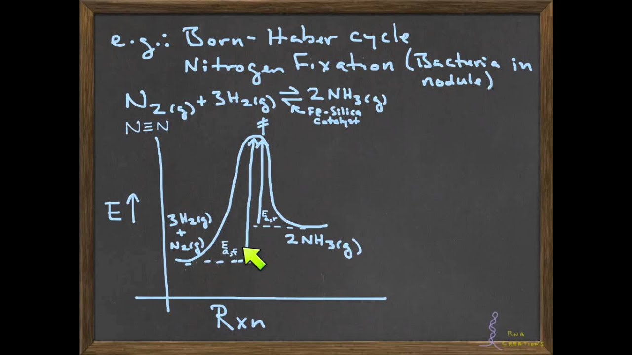 L21 Screencast--Effect of a Catalyst on Keq