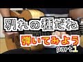 大石昌良 別れの種だね 弾いてみよう! ギター解説 part1