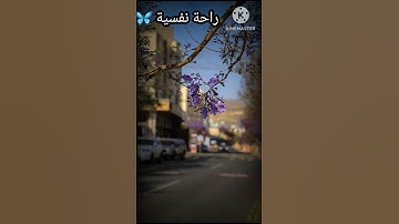 #قران_كريم #العيد #اكسبلور #تلاوة_خاشعة #حالات_واتس #قرآن #راحة_نفسية #لايك #shortvideo #تلاوه