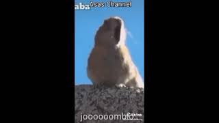 Download Lagu MEMEK MP3