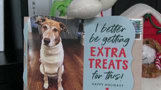 Collierville Animal Shelter