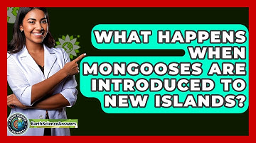 What Happens When Mongooses Are Introduced To New Islands? - Earth Science Answers
