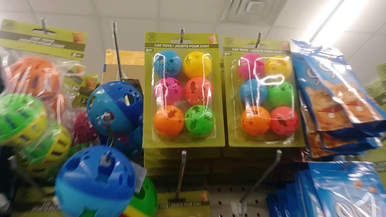 Dollar tree pet stuff and more!😊 YouTube