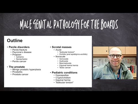 Male genital pathology with clinical vignettes for the USMLE boards (medical school lecture)