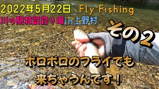 【フライフィッシング】川の駅特設釣り場in上野村　その２　スゴイね！バイビジブルはボロボロでも釣れるんです！