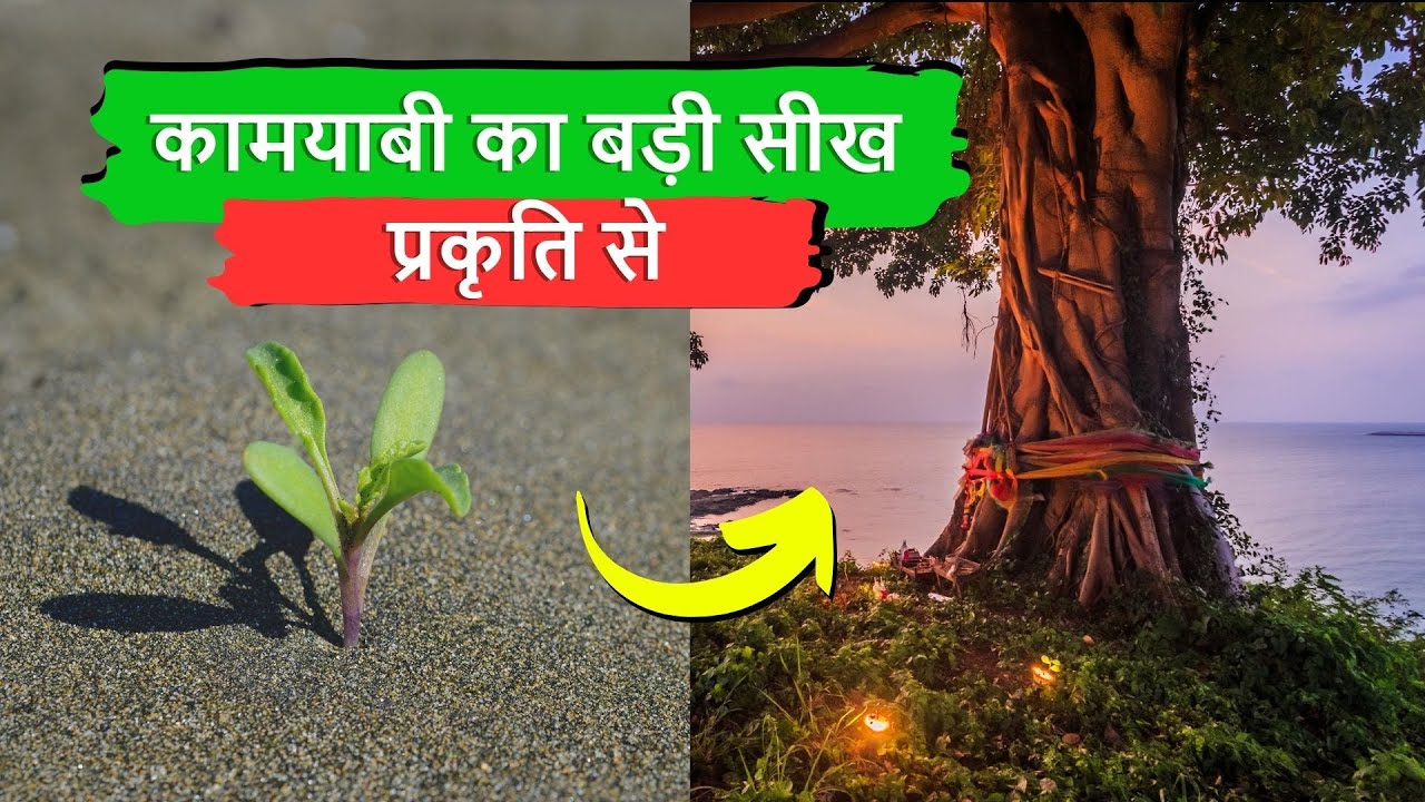 कामयाबी का बड़ी सीख प्रकृति से Life Lessons From Nature Nature is