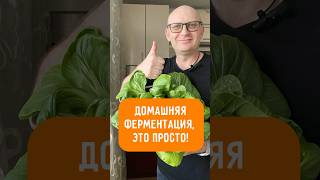 Любимые Рецепты / Домашняя ферментация - это просто! Подробнее в описании и коментах #рецепты #еда