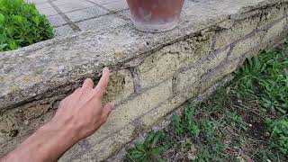 Come Consolidare Un Muro In Tufo Per Renderlo Più Resistente Col Trucco Della Pennellessa...
