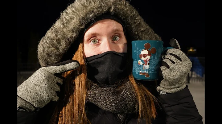 Polar Vortex: Boiling Water Freezing in Mid Air (What Happens When you Add Food Coloring?)