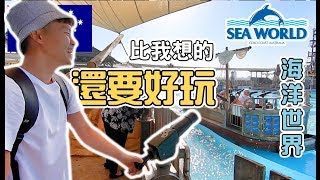 【黃金海岸2】Sea World一日遊海洋世界竟然有雲霄飛車Gold coast Australia 澳洲打工度假2019《阿滿生活澳洲#83》