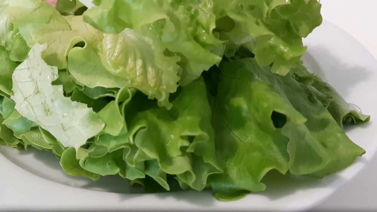 Eating Leaf Lettuce 🥬 How to Eat Romaine Lettuce Raw ASMR YouTube