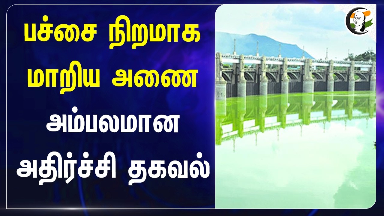 ⁣பச்சை நிறமாக மாறிய அணை.. அம்பலமான அதிர்ச்சி தகவல் | Mettur Dam | Karnataka | Cm Vijay