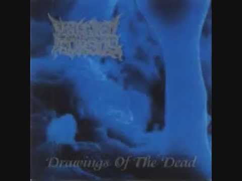 洋楽 Mangled torsos/drawing of the dead Mangled Torsos - Drawing of the Dead | CDN Records Shop