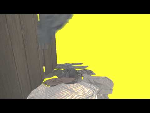 animated zero punctuation: the old ladys.mp4
