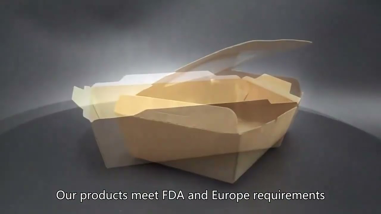 disposable plastic container for food,bagasse tableware,disposable plastic tray,Manufacturer, Best