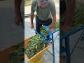 Desi Jugad by Farming #Desi #Jugad #Jugaad #Farming #Kheti #Khetibadi #Agriculture #easy