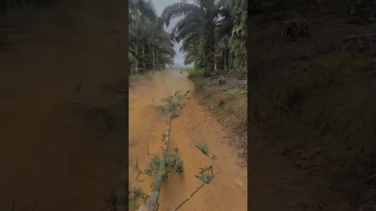 Teasing a friend with the dust that is behind 