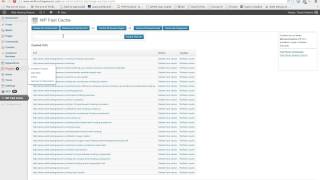 Introducing The Wp Fast Cache Plugin
