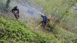 Motorlu Tirpan İle Findik Alti Bi̇çme 2 Senedi̇r Bi̇çi̇lmemi̇ş Yer Orman Gi̇bi̇