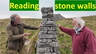 Download Lagu Stone walls: their history and ecology MP3