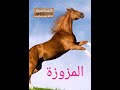 الفنان الكبير سيد أحمد ولد احمد زيدان في شور مشوش عمر آبيلي 