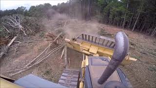 Root Rakin and Brush Pushin