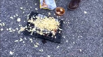 Fixing your Ableton Push