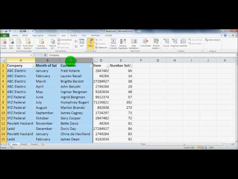 Microsoft Excel Filter Tutorial for Beginners - Microsoft Office 2003, 2007, 2010