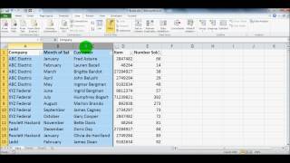 Microsoft Excel Filter Tutorial for Beginners - Microsoft Office 2003, 2007, 2010