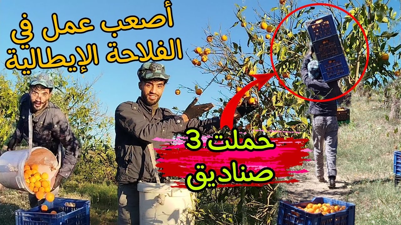 أجي تشوف خدمة العداب في جنوب إيطاليا🇮🇹