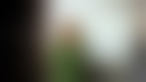 Can You Do Numis Network Part Time?