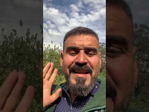 الطقس مع خواطر موسى 