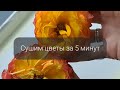 Быстрая сушка цветов. Сухоцветы. Как быстро высушить цветы. Цветы в эпоксидной смоле