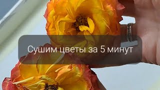 Быстрая сушка цветов. Сухоцветы. Как быстро высушить цветы. Цветы в эпоксидной смоле