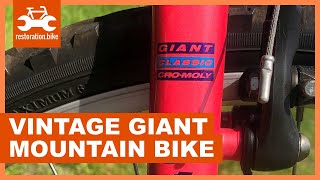Heres why you should buy a vintage Giant mountain bike