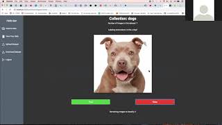 Freelance Data Annotations screenshot 4