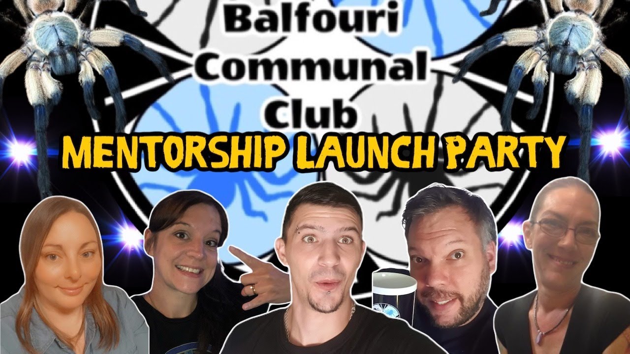 Balfouri Communal Club - Mentorship Launch Party