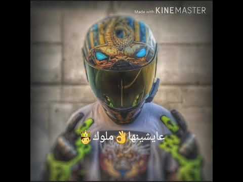 تعادينا نؤزوك يلا و ونضموك علشان باشوات عايشنها ملوك حالات واتساب الاينستا Alifakhro687