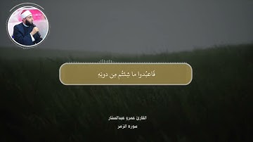 قُلْ يَا عِبَادِ الَّذِينَ آمَنُوا اتَّقُوا رَبَّكُمْ ۚ /سورة الزمر