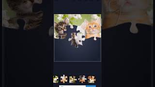 Arrange jigsaw puzzles of 3 cute cats #shorts #gaming #android screenshot 4