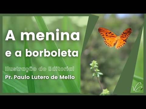 Reflexo: A menina ea borboleta - Pastor Paulo Lutero de Mello