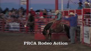 Kit Carson Co Fair   Fair 2017   2487 5