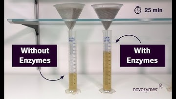 Brewing efficiently using enzymes
