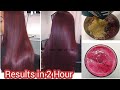 Natural Brown Hair Diy 100% Homemade With Simple Ingredients| Hair Colouring With Henna #mehndi