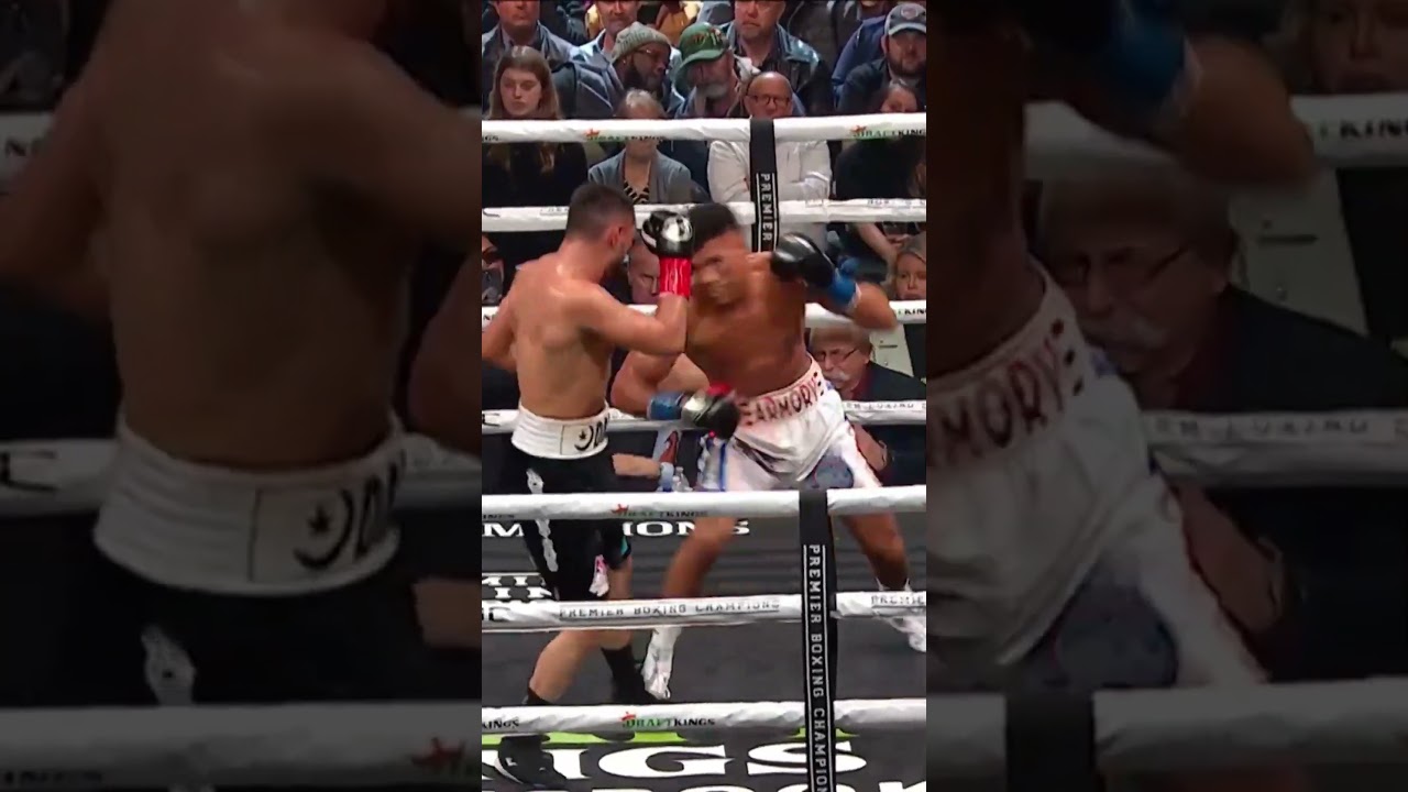 Morrell’s Fury vs Yerbossynuly’s Heart 